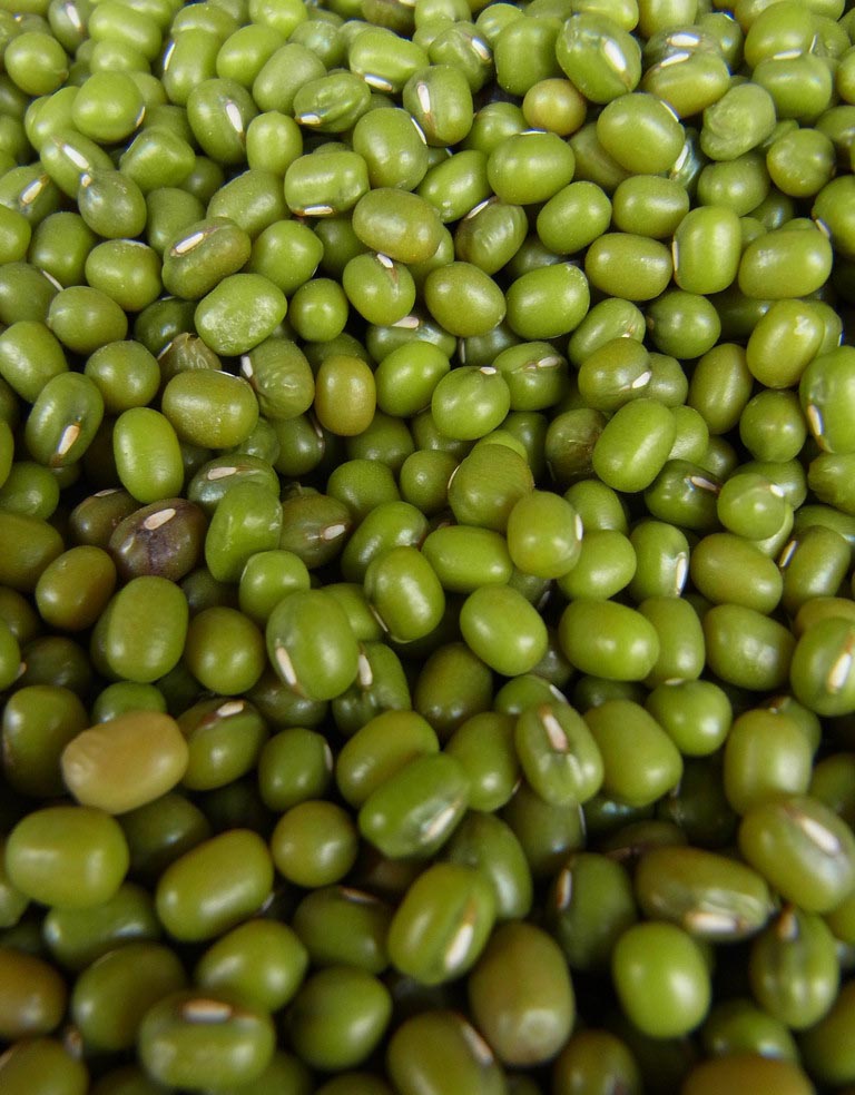 黍一菽二有机绿豆